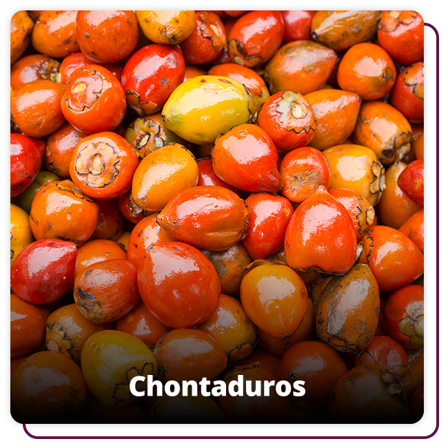 Foto del chontaduro
